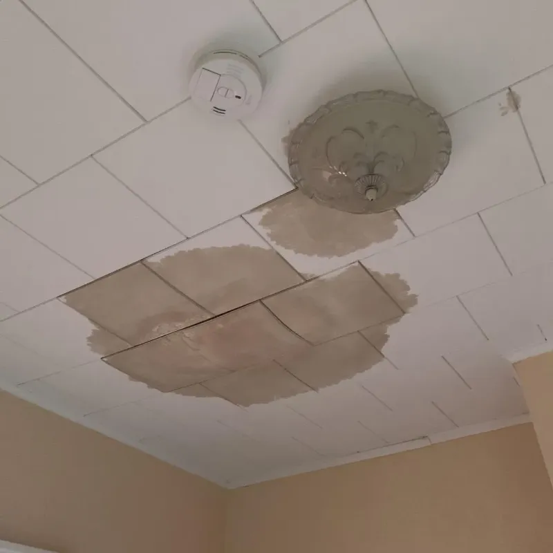Ceiling Water Damage Repair in Steuben, ME