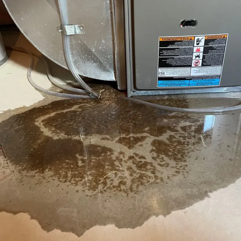 Pipe Burst and Leak Restoration in Steuben, ME