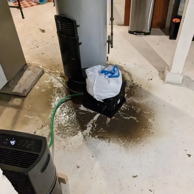 Sewage Backup Cleanup Service in Steuben, ME